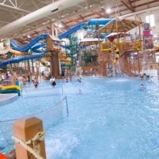 Фотография гостиницы Great Wolf Lodge Grapevine