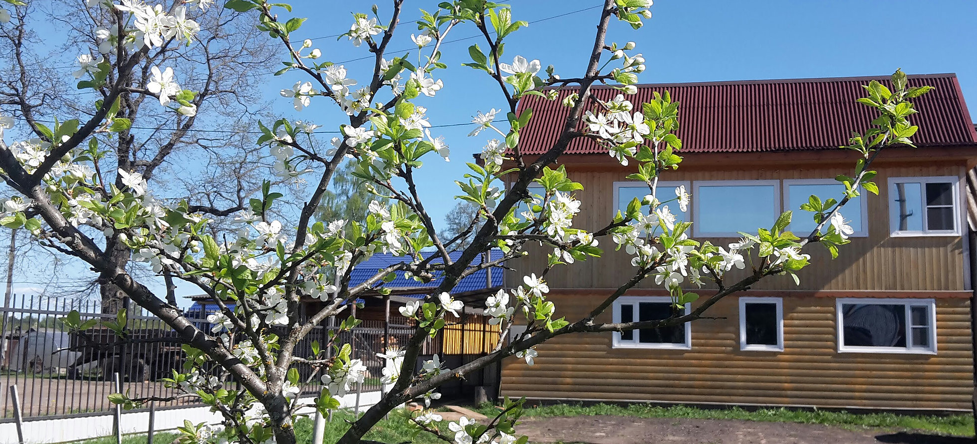 Фотография гостевого дома У Михалыча