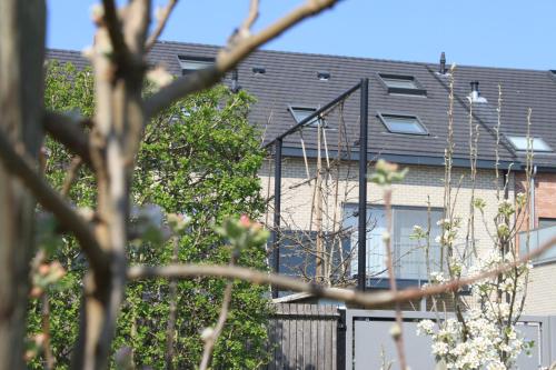 Фотография мини отеля B&B Atuatuca