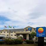 Фотография гостиницы Comfort Inn Kent - Seattle