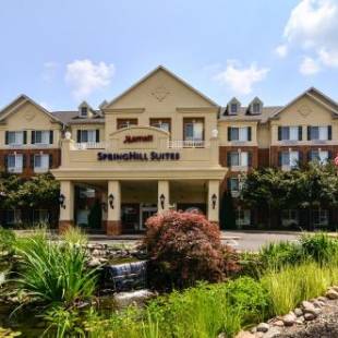 Фотографии гостиницы 
            Springhill Suites by Marriott State College