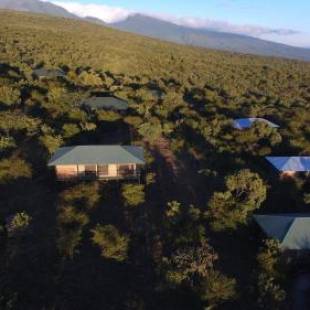 Фотографии базы отдыха 
            Ngorongoro Wild Camp