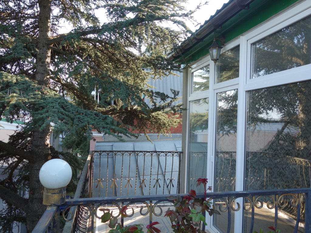 Фотография мини отеля Ливадия