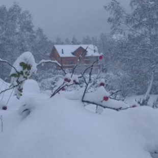 Фотография гостевого дома Chalet bois au milieu des Pyrénées