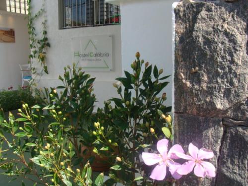 Фотография хостела Hostel Calábria