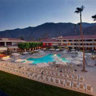 Фотографии гостиницы 
            Hilton Palm Springs