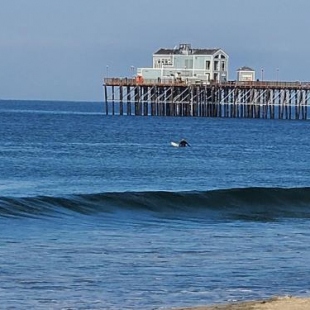 Фотография гостевого дома Oceanside Rocks Family Vacation Home