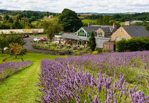 Фотография гостиницы Black Horse Beamish