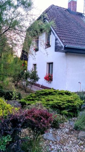 Фотография гостевого дома Vila v Podkrušnohoří