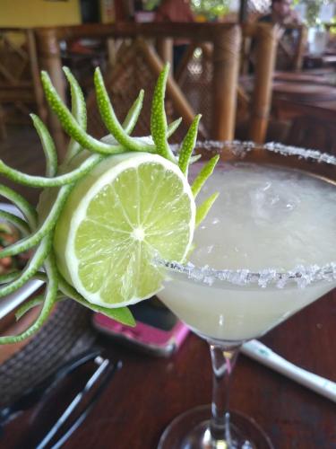 Фотография мини отеля The Pickled Onion Eco-Boutique B&B