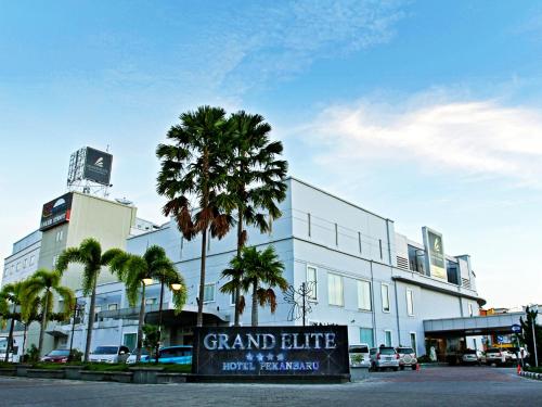 Фотографии гостиницы 
            Grand Elite Hotel Pekanbaru