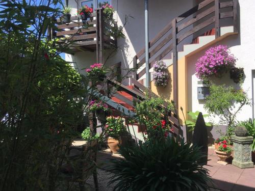 Фотография мини отеля Gaestehaus Klaus