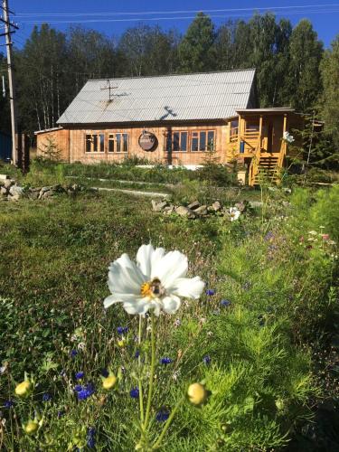 Фотография мини отеля Пихтовый гребень