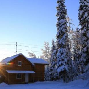 Фотографии гостевого дома 
            The Cabin in the Woods 1 森林小屋 1