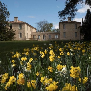 Фотография мини отеля Château de Ferrand