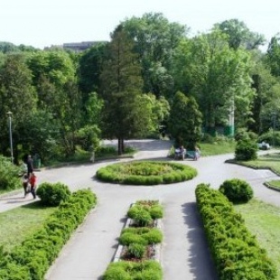 Фотография достопримечательности Ботанический сад имени академика А.В. Фомина