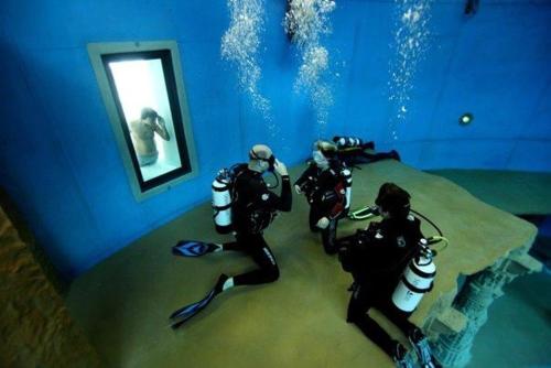 Фотография гостиницы Friendly Cityhotel Oktopus