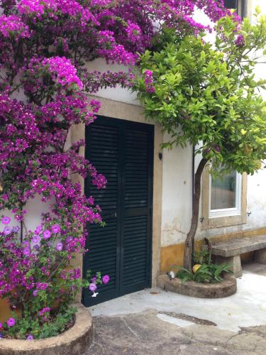 Фотография гостевого дома Quinta da Bizelga Cottages