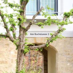 Фотографии гостевого дома 
            Alte Stadtmauer - Apartment