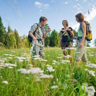 Фотография гостевого дома Nengshof Ferienhäuser Sonnenblume und Heublume