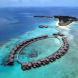 Фотография гостиницы Coco Bodu Hithi