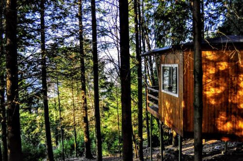 Фотография гостевого дома Secret do Gerês