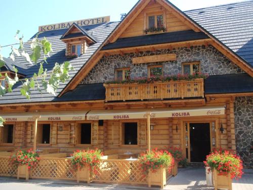 Фотография гостиницы Hotel Koliba
