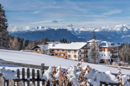 Фотография гостиницы Hotel Peter