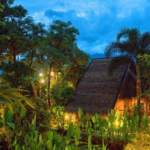 Фотографии гостиницы 
            Pura Vida Pai Resort