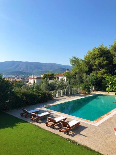 Фотография гостевого дома The House of Gratitude