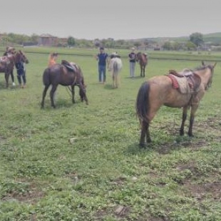 Фотография кемпинга Horse riding and camping