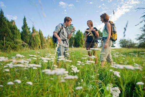 Фотографии гостевого дома 
            Nengshof Ferienhäuser Sonnenblume und Heublume