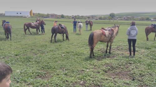 Фотографии кемпинга 
            Horse riding and camping