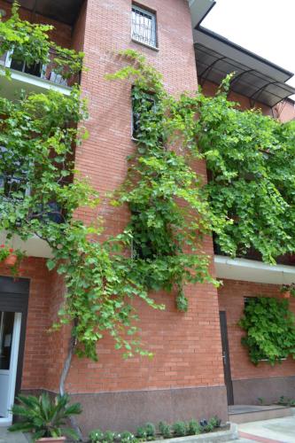 Фотография гостевого дома На Фабрициуса 4/2