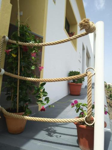 Фотография гостевого дома Casa Daniel