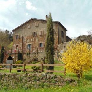 Фотографии мини отеля 
            B&B IL Giardino del Borgo