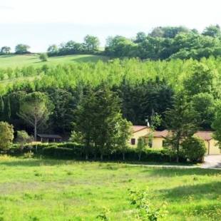 Фотографии базы отдыха 
            Agriturismo Sotto il Colle