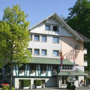 Фотографии гостиницы 
            Hotel Landhaus Schiffle