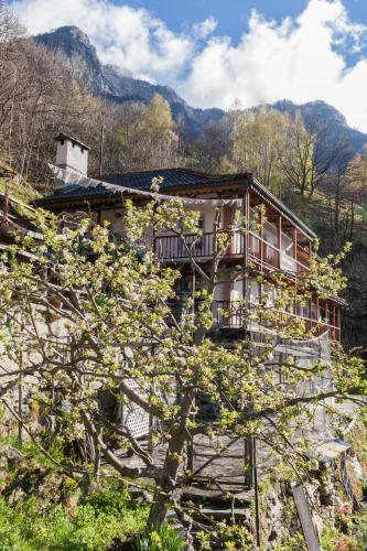 Фотография мини отеля Bed and Breakfast da Toldo