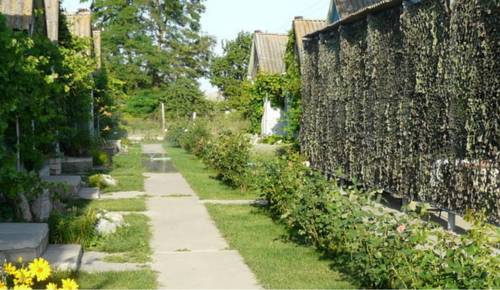 Фотография гостиницы Эллала