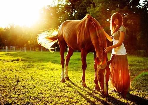 Фотография базы отдыха Центр Конного Отдыха Караван