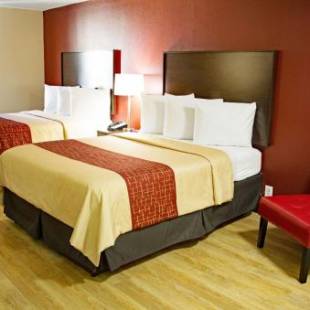 Фотографии мини отеля 
            Red Roof Inn & Suites Jacksonville, NC