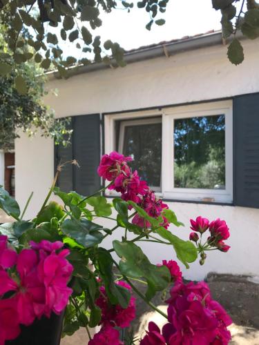 Фотография гостевого дома Cabaña en la naturaleza