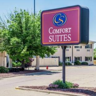 Фотографии гостиницы 
            Comfort Suites Peoria I-74