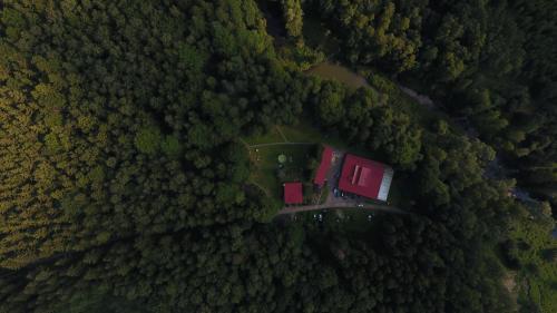 Фотографии кемпинга 
            Ośrodek leśny Rajsko w Zapuście