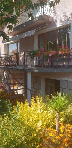 Фотография гостевого дома Kyurkchievi Guest House