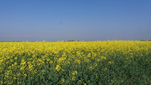 Фотография мини отеля Grooms Cottage