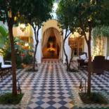 Фотография мини отеля Riad Camilia