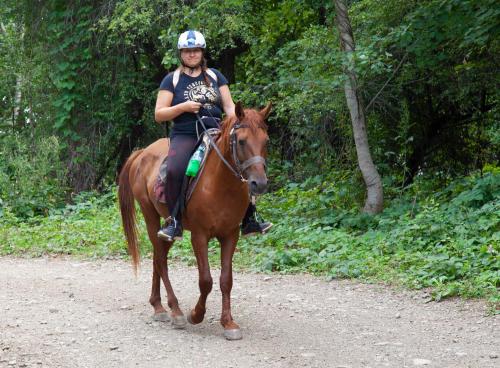 Фотографии кемпинга 
            Golden Horse Riding Center