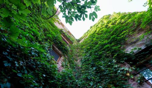 Фотография гостевого дома El Jardín Vertical